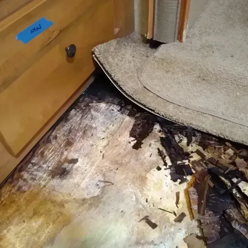 Best Wood Floor Water Damage Service in Chama, NM